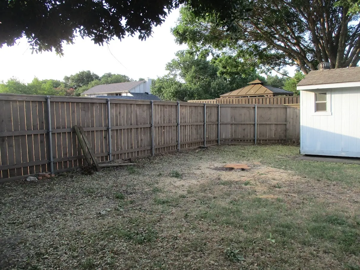 Cleared yard after professional tree removal in Leon